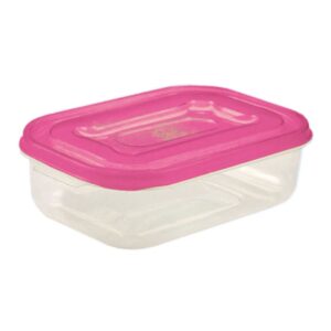 HERMÉTICO PICNIC RECTANGULAR 3.9L