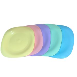 PLATO PLAYO PLASTICO COLOR