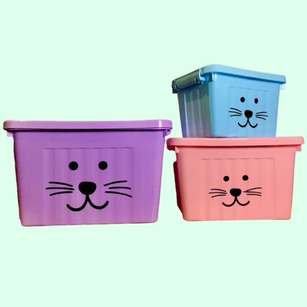 CAJA ORGANIZADORA NORDICA PASTEL CHICA
