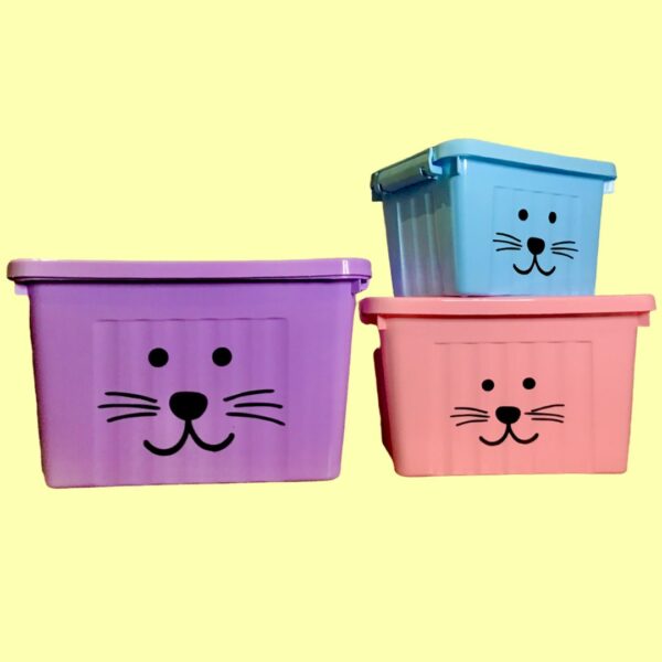 CAJA ORGANIZADORA NORDICA PASTEL MEDIANA