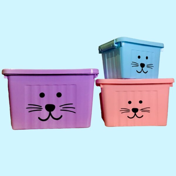CAJA ORGANIZADORA NORDICA PASTEL GRANDE